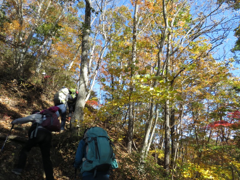 奥久慈・男体山